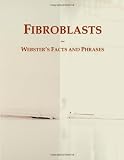 Fibroblasts: Webster