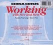 Working with Fire and Steel Possible Pop Songs, Vol. 2 Working with Fire and Steel Possible Pop Songs, Vol. 2