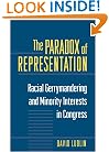 The Paradox of Representation