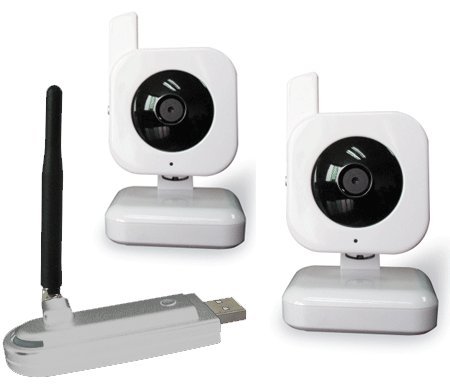 2.4GHz Digital Wireless Security Camera System Plugs Into your Computer or Laptop Includes 2 Complete Wireless Cameras (100% Wi-Fi Interference Free)