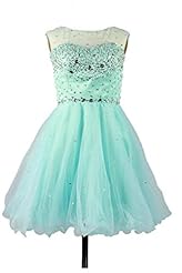 Organza Scoop Neck Crystal Sequined Crystals Homecoming Dress/Prom Dress/Party Dress 