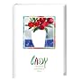 Lady Taschenkalender 2011 von Heye