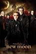 The Twilight Saga: New Moon Movie (Bad Sides) Poster Print - 24x36