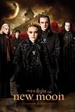 The Twilight Saga: New Moon Movie (Bad Sides) Poster Print - 24" X 36"