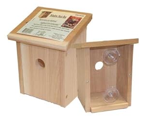 Amazon.com : Songbird Essentials Nest View Bird House : Bird Houses 