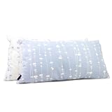 Pussy Willows in Ice Throw Pillow - (13 x 24)