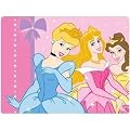 Childrens/Kids Girls Disney Princess Fleece Blanket/Bed Throw