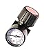 Primefit CR1401G Replacement Air Regulator with steel-Protected Gauge, 1/4