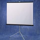 Glass Beaded Consul Portable Screen - 50