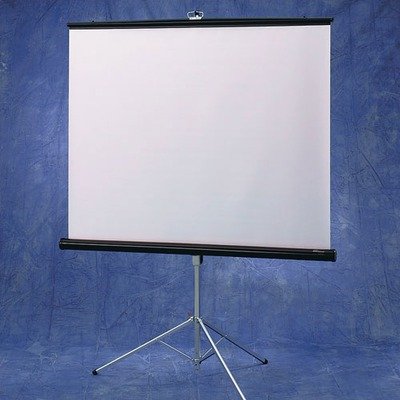 Draper Consul Portable Projection Screen - 70 x 70 - Fiberglass Matt White - 99 Diagonal