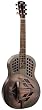 Recording King Metal Tricone Resonator Guitar, Champagne Matte