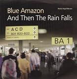 AND THEN THE RAIN FALLS 12 INCH (12" SINGLE) UK SONY 1997
