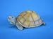 Deko Teichschildkröte Länge 29 cm Gartenfigur aus Kunststoff