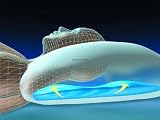Multi-Core Therapeutic Support Pillow