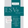 ESV Pitt Minion Reference Black Goatskin ES446XR