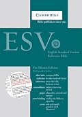 ESV Pitt Minion Reference Brown Goatskin ES446X