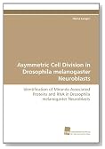 Asymmetric Cell Division in Drosophila melanogaster Neuroblasts: Identification of Miranda Associated Proteins and RNA in Drosophila melanogaster Neuroblasts
