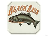 Black Bass Brand Cigar Outer Box Label, Fishing Giclee Poster
Print, 16x12