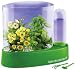 Greenhouse: Toy-Edu: Hydroponic Greenhouse