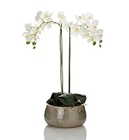 Artificial Orchid in Crackle Ceramic Pot