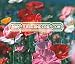 POPPY MIX Cascade Pocket --- 3,000,000 Flower Seeds