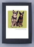 Paper Russells Australian Cattle Dogs Boxed Note Cards - Eco-Friendly from the USA