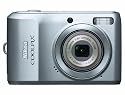 Nikon Coolpix L19 8MP Digital Camera with 3.6 Optical Zoom and 2.7 inch LCD (Silver)