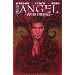 Angel After the Fall #1: Season 6 Chapter One