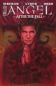 Angel After the Fall #1: Season 6 Chapter One