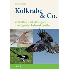 Kolkrabe & Co: Verhalten und Strategien intelligenter Lebensk�nstler