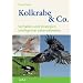 Kolkrabe & Co: Verhalten und Strategien intelligenter Lebensk�nstler
