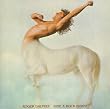 Ride a Rock Horse