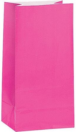 Party Supplies Hot Pink Paper Party Favor Bags, 12pk