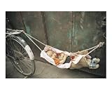 Makeshift bliss, Kashgar, Xinjiang, Western China Stretched Canvas Poster Print by Jamie Williams, 16x20