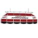 NHL Carolina Hurricanes Stained Glass 40 inch Lighting Fixture
