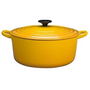 Enameled Cast Iron 