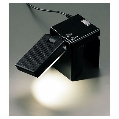 ツインバード工業 LEDベッドライト LE-H222B ブラック