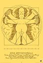 Poster Die Simpsons Homer Simpson Universalis Anatomie des Menschen Da Vinci Anatomy - Maxiposter - Größe 61 x 91,5 cm