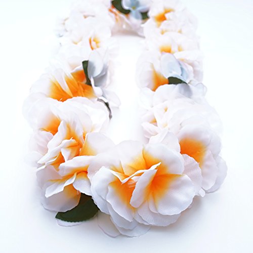 Hawaiian Lei Flowers, Meanings, History And Symbolism
