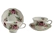 Gracie China Rose Chintz 8-Ounce Porcelain Tea Cup and Saucer with Gold Trim, Set of 2 Gift Boxed