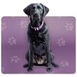 Paper House Productions Black Lab Mouse Pad