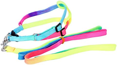 Pet Moon Adjustable Pet Dog Puppy Cat Kitty Nylon Harness Leash Lead Colorful (Multi-color)