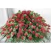 Casket Spray, Red Roses for Coffin Mother's Day Gift