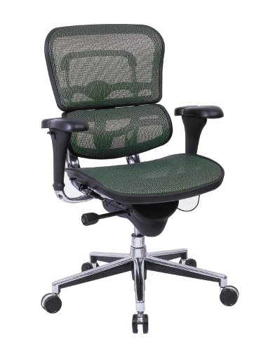 Eurotech Ergohuman Green KM14 Mesh Office Chair