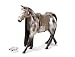 Bratz Kidz Horseback Fun Horse Arabian Sapphire