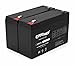 ExpertPower 6V 12Ah SLA Sealed Lead Acid Battery F1 Terminal/Replacement for Portalac GS PE6V13 (2 Pack)