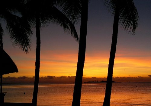 Prominent Polynesia: 10 of the World's Finest Polynesian Food Recipes