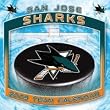 SAN JOSE SHARKS 2009 NHL Daily Desk 5" x 5" BOX CALENDAR