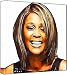 Whitney Houston - Pop Art Print (Multicolour; White Background) 30 x 30 x 2 cm Medium Square Deep Bo