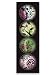 iPop Clicks gina + matt Natural 4-Pack Magnet Set